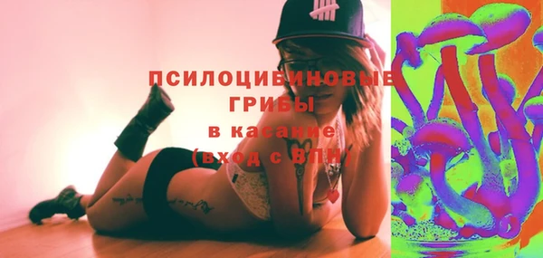 МДПВ Алзамай