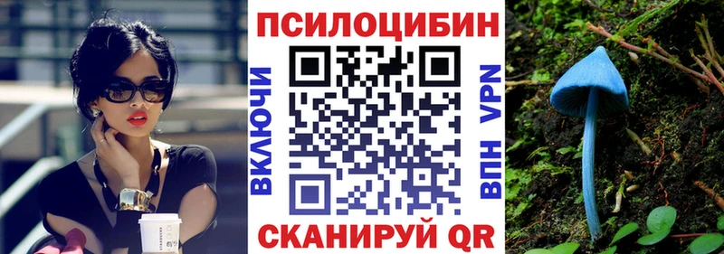 Псилоцибиновые грибы Psilocybine cubensis  закладки  Протвино 