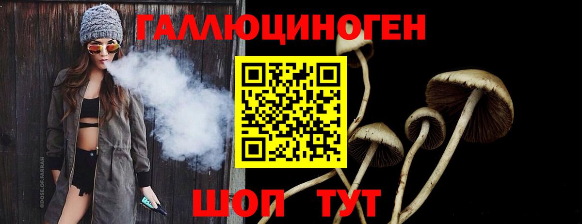 Псилоцибиновые грибы MAGIC MUSHROOMS Протвино